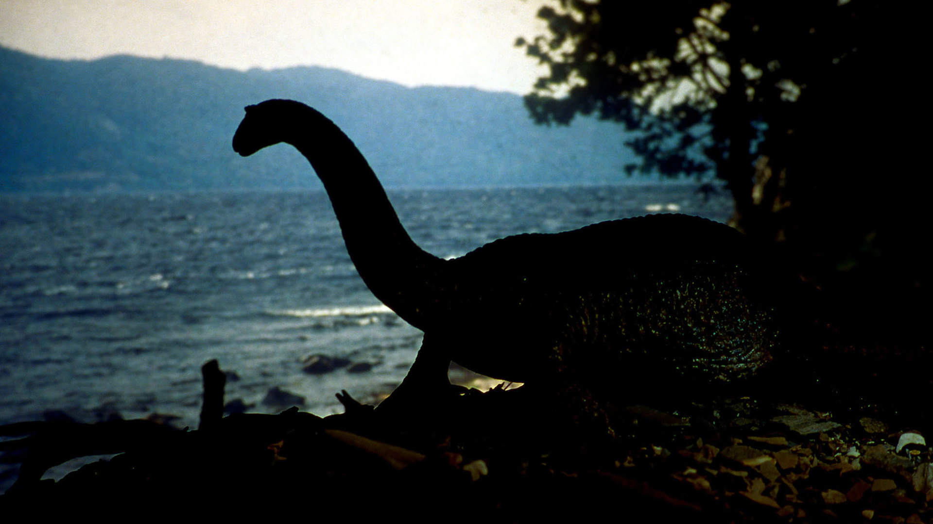 Loch ness monster. Лохнесское чудовище. Лохнесское чудовище динозавр. Динозавр из озера Лохнесс. Слон Лохнесс Лохнесское чудовище