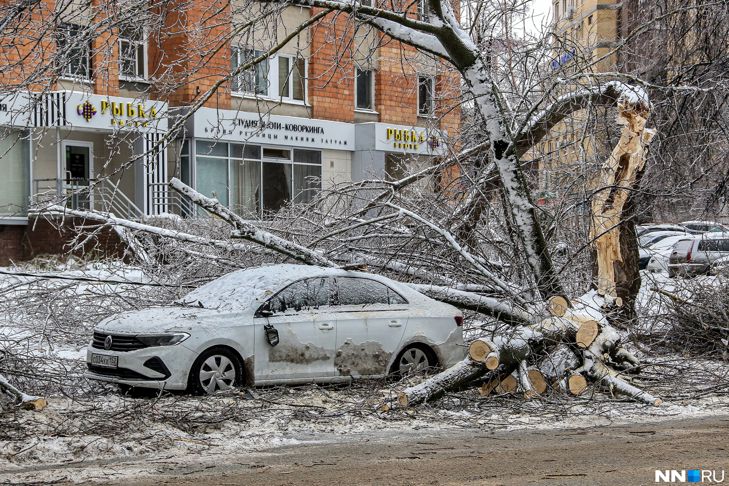 Осадки нижний новгород. Упавшее дерево. Ледяной дождь. Последствия ледяного дождя.