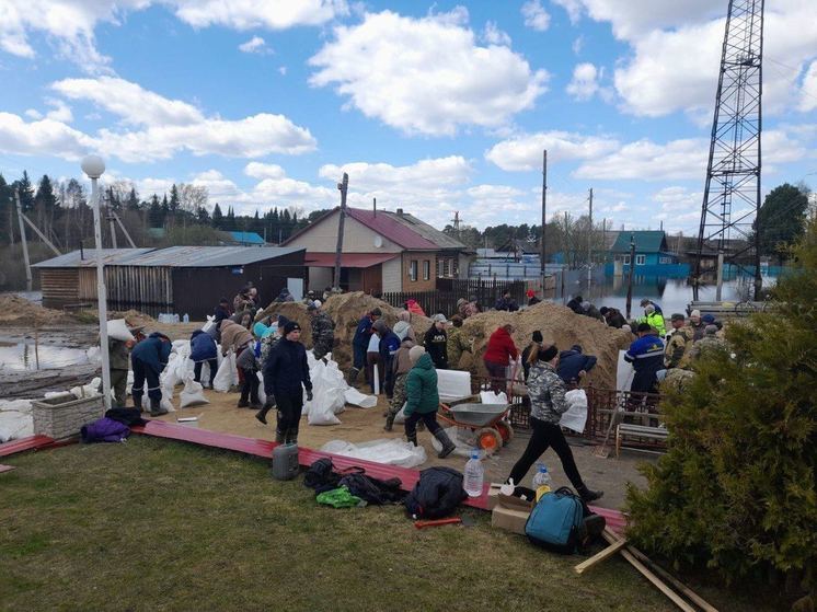 Около 200 местных жителей строили дамбу около РЭС в Усть-Ишимском районе Омской области