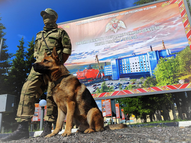 Сегодня военнослужащие и сотрудники кинологических подразделений Росгвардии отмечают 115-летний юбилей