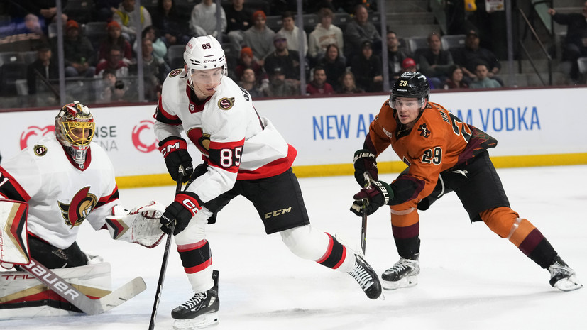 Арена хк калгари флэймз. Аризона койотис калгари флэймз 12 января. Нхл. Аризона койотис. Аризона койотис калгари флэймз 12 января.