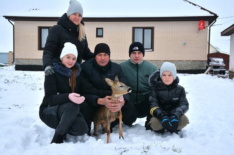 Косулёнок стал родным для губкинской семьи Елисеевых