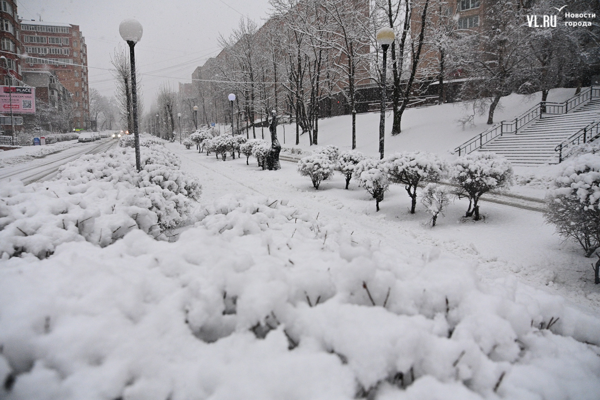 Где в марте снег. Снег в Киеве март. Мартовский снегопад. Мартовский снег Новокузнецка. Интенсивный снегопад.