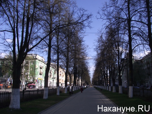 Фото: Накануне.RU
