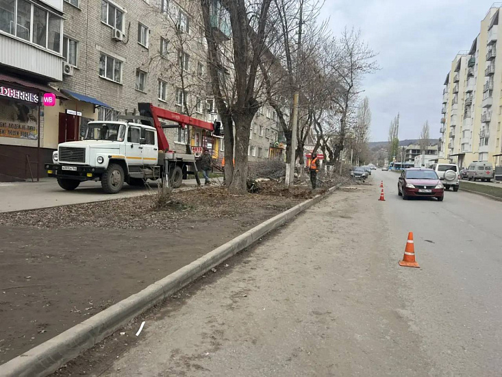 Коммунальной службой Заводского района проводятся работы по опиловке деревьев