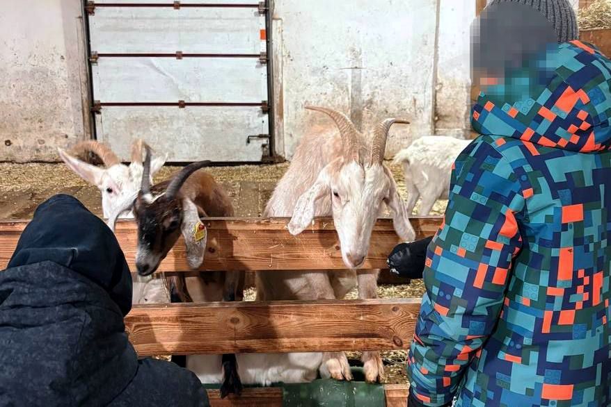 Подростки, состоящие на учёте, посетили страусиную ферму