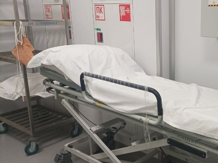 В Петербурге выросло количество заболеваний менингококковой инфекцией в 2,7 раза