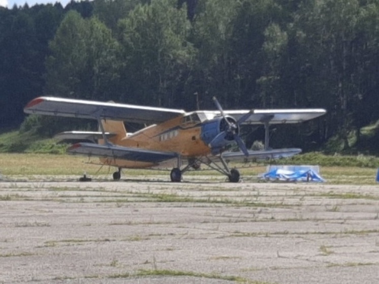 В Бурятии аварийно сел Ан-2; жертв нет, но детали инцидента разнятся