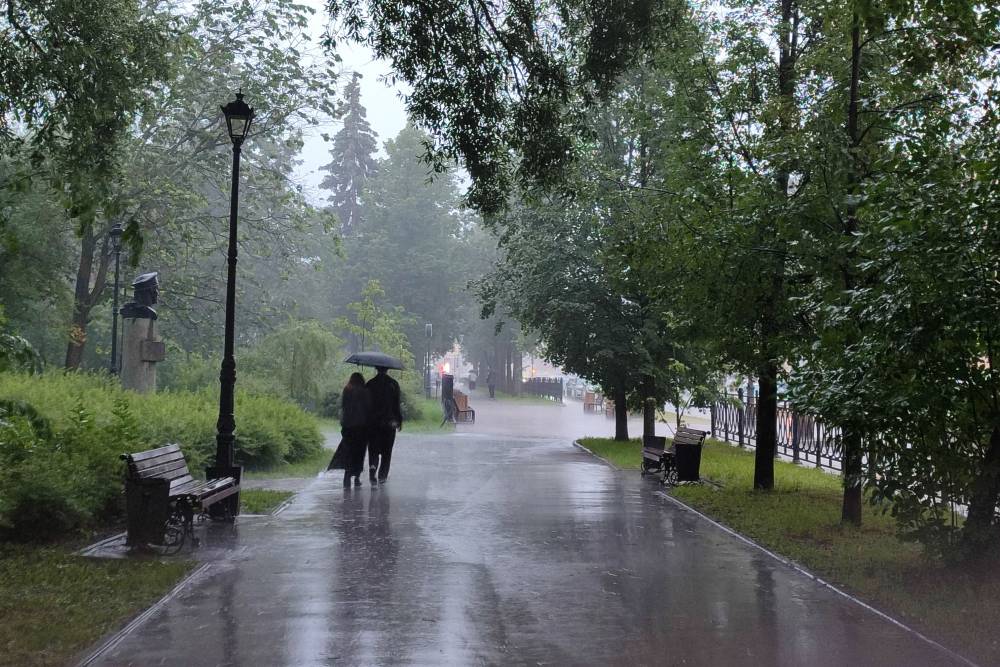 После кратковременного потепления в Пермский край вновь придут дожди и похолодание