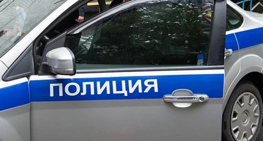Волонтёры присоединились к поискам пропавшего в Мордовии 72-летнего Геннадия Решетникова 