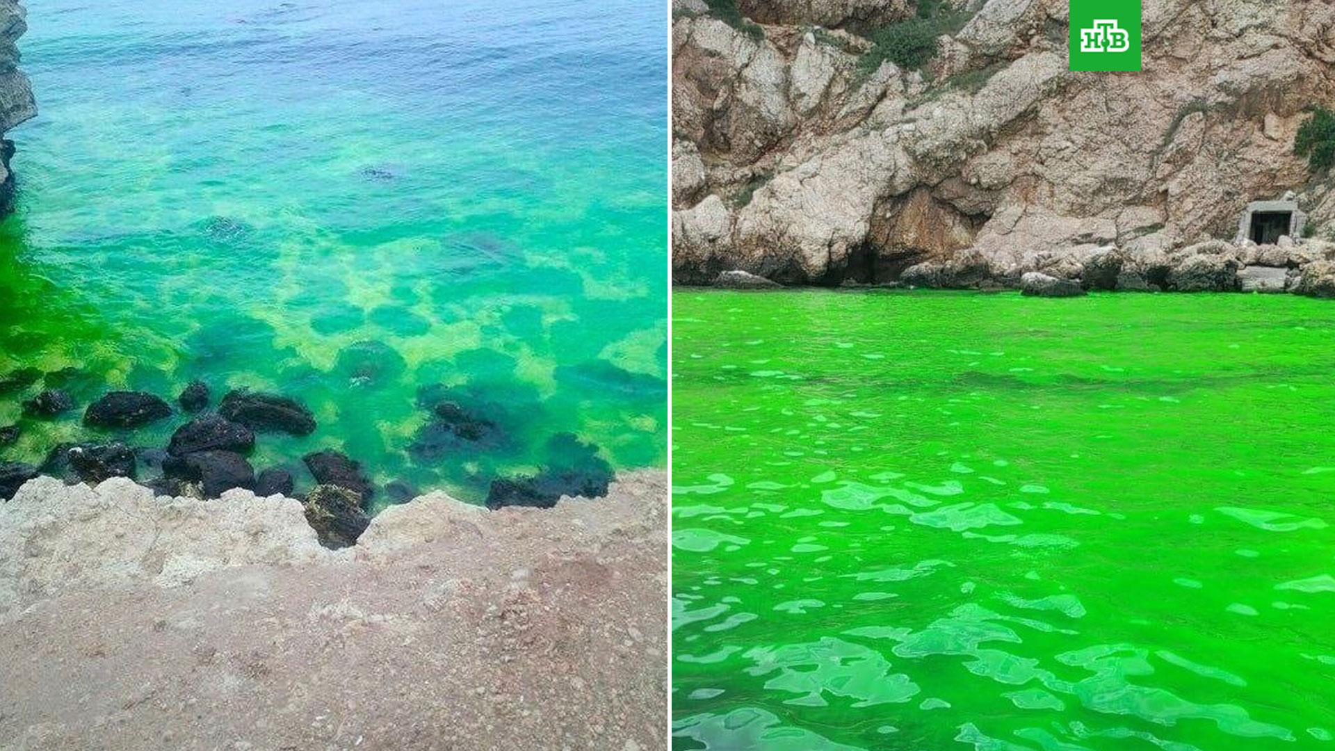 Зеленоватое море