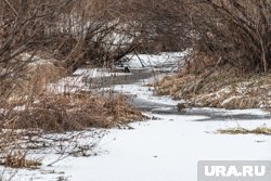 Эксперты устанавливают обстоятельства загрязнения реки Ивы в Перми