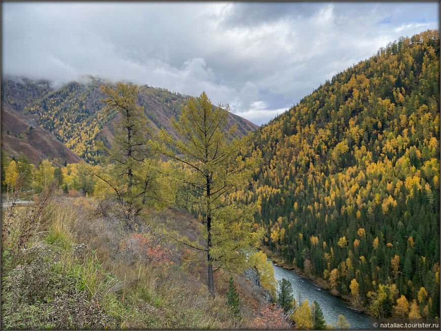 «Осенние краски Уймонской долины». Дорога, база и первые эмоции
