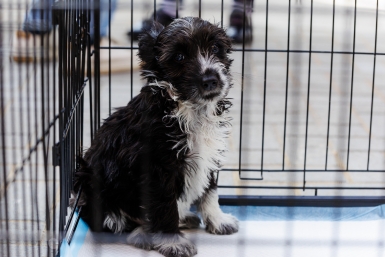 5611907.jpg?ec7dab6ee86b24dba118c35581662d39