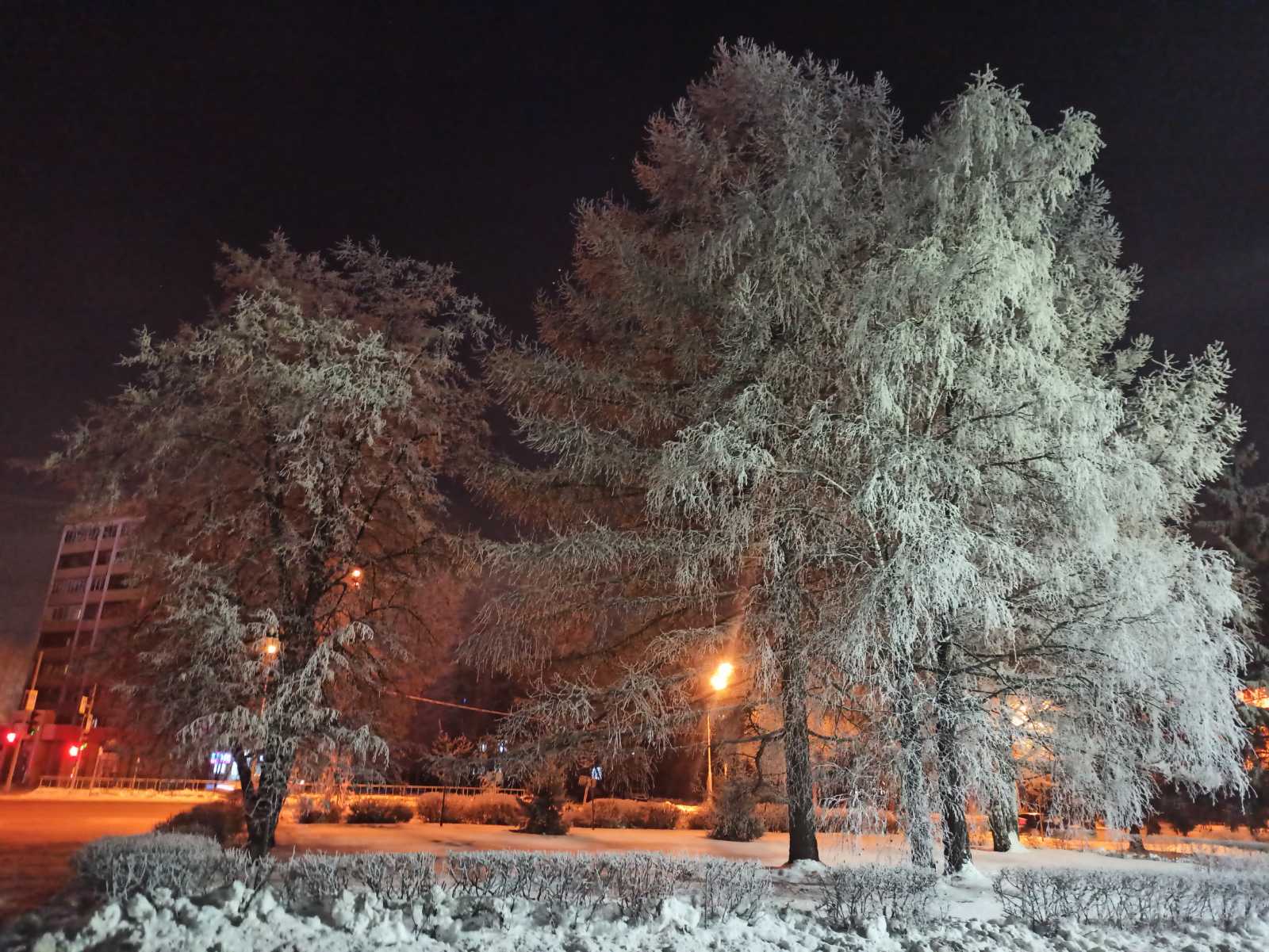 В день последний декабря