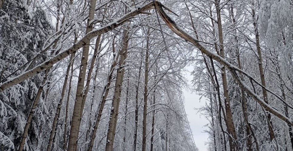 Эпопея: в Новгородской области снова занялись восстановлением электроснабжения
