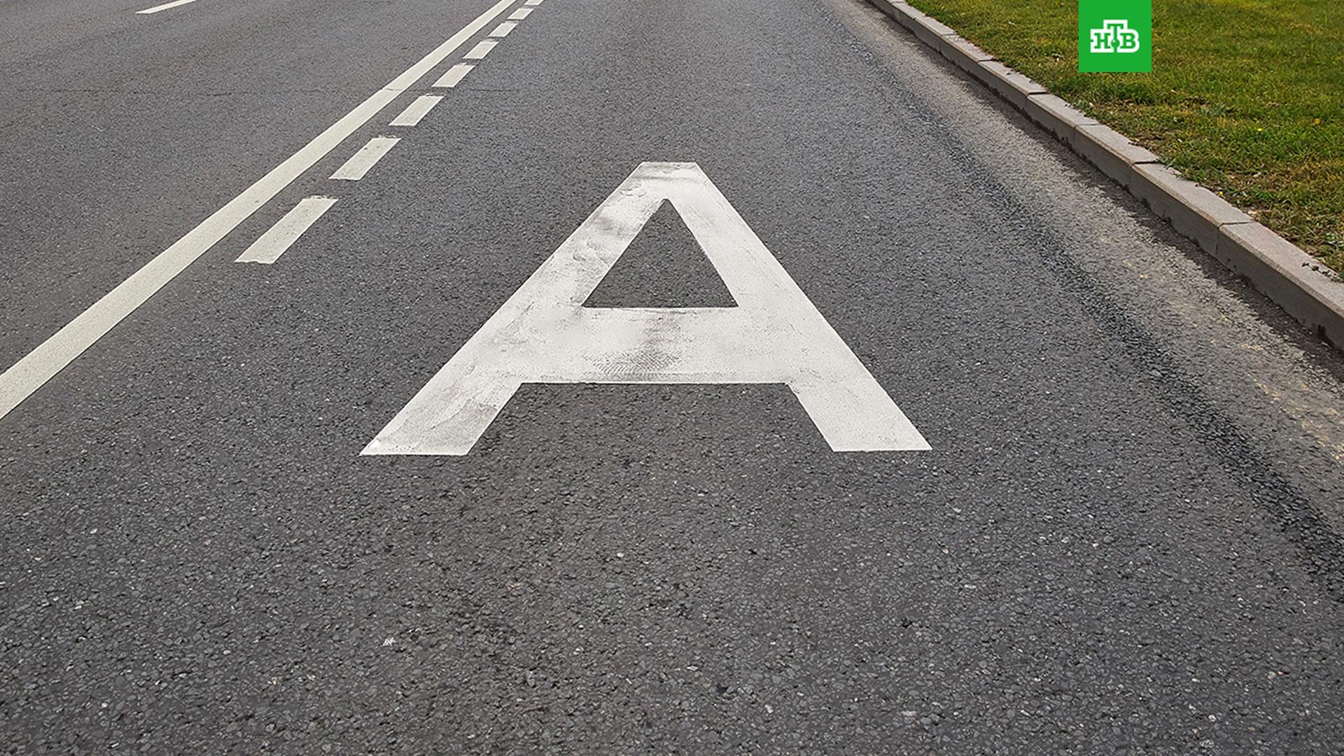 Автобусная полоса. Дорожная полоса. Полоса движения. Выделенная полоса для автобусов.