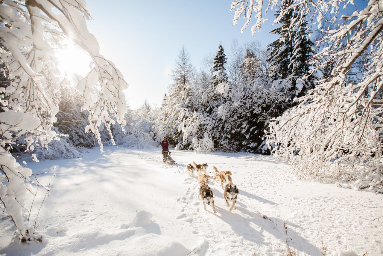 Финляндия Arctic Winter World Park