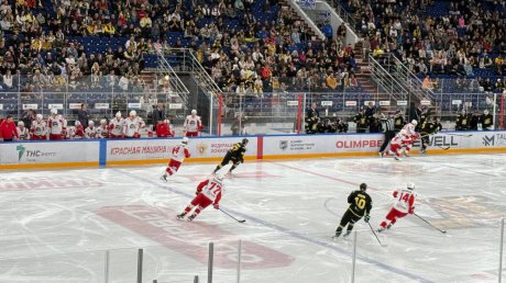 «Дизель» завершил победой серию домашних игр