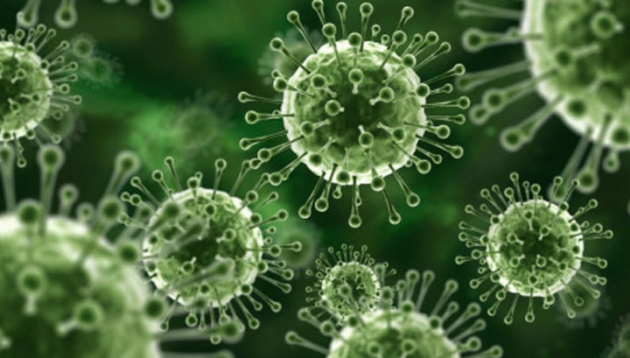 Попова: в России выявили первый случай заражения вирусом гриппа H3N2