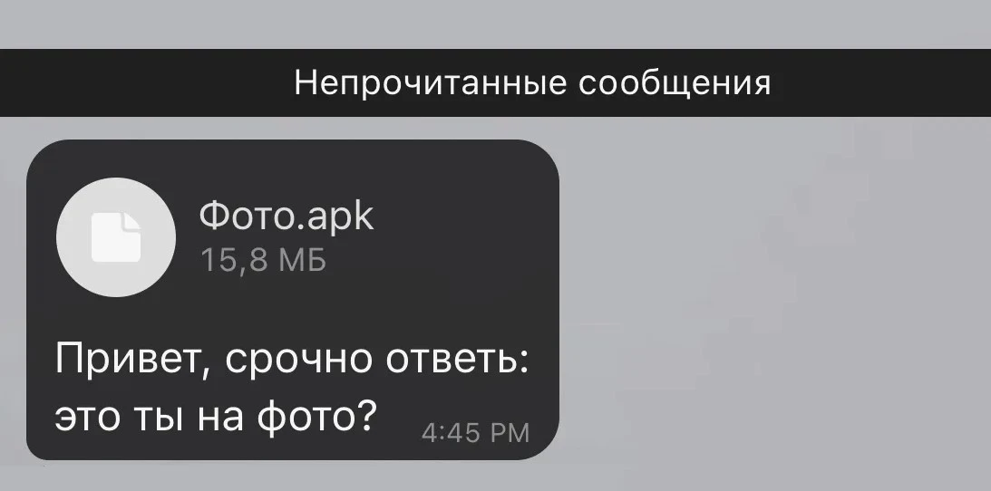 21-летний москвич взломал аккаунт через ссылку и лишил жительницу Калмыкии значительной суммы