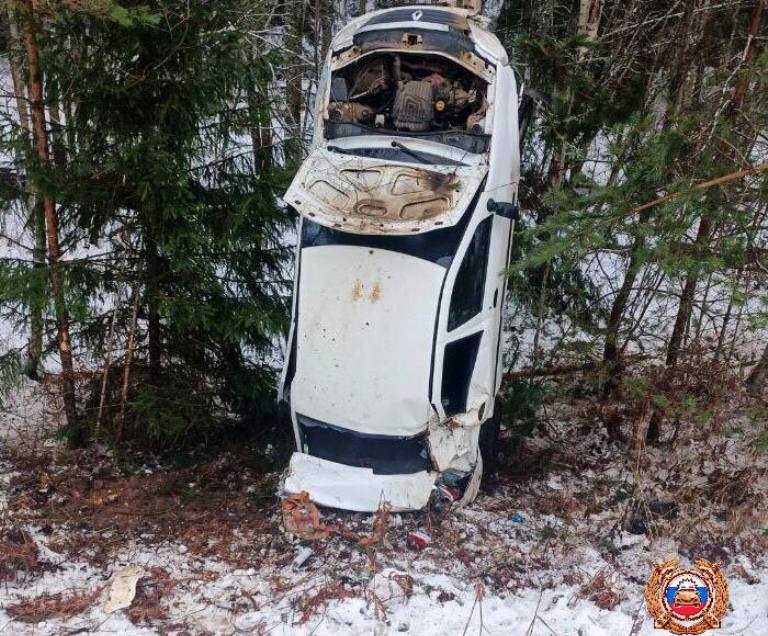 В Тверской области легковушка вылетела в кювет, перевернулась и «встала на дыбы»