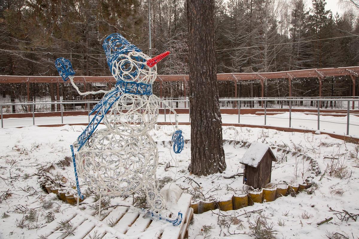 Заельцовский парк новосибирск зимой