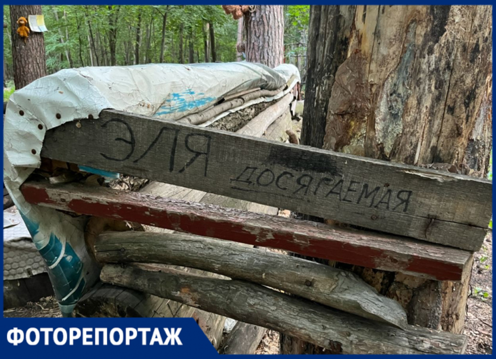 Самарский маньяк. МАНЬЯК выглядывает из за дерева в лесу. Лагерь Лесной Самара фото. Дерево написать.