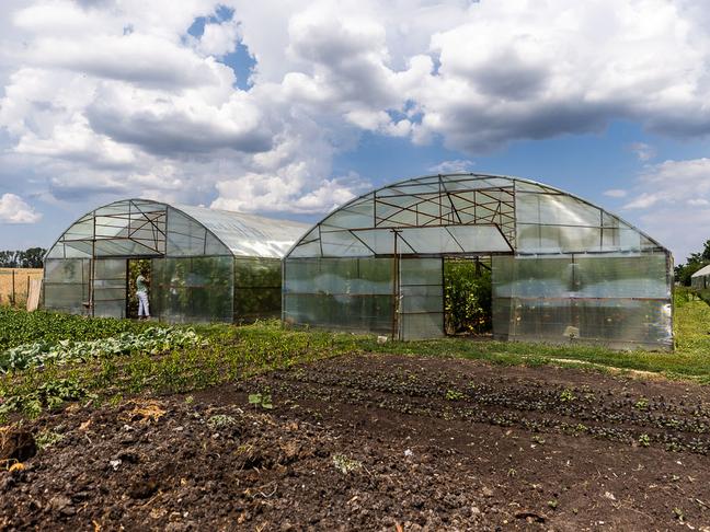 «Моя любовь – флора и фауна». Почему краснояружец считает, что растения нельзя обижать - Изображение 2