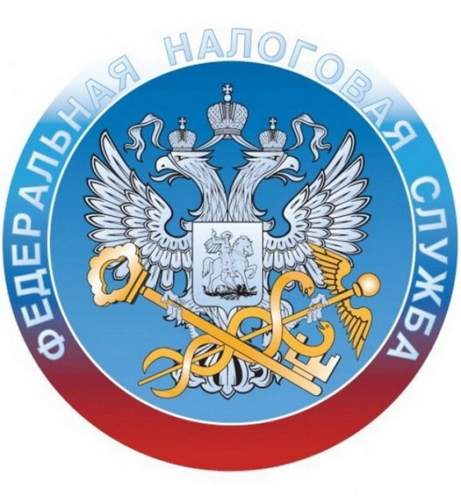 Налоговая сфера. Налоговая эмблема. Герб налоговой службы. Символ ФНС. ИФНС логотип.