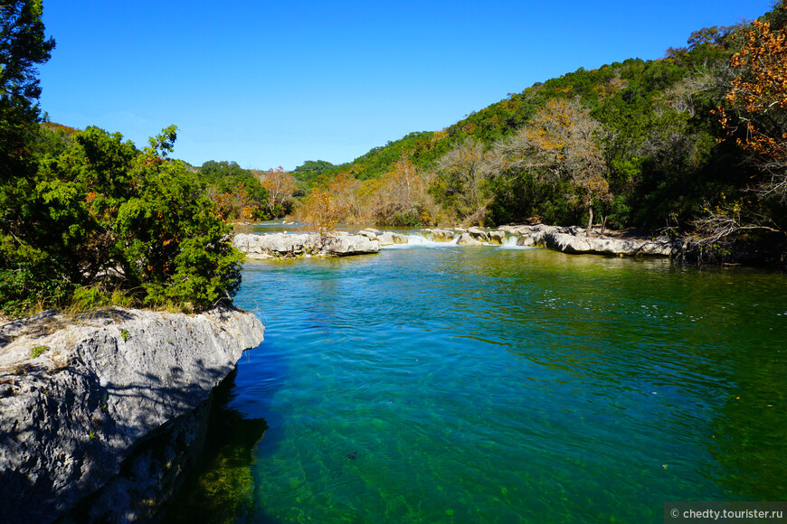 Жизнь на опушке леса