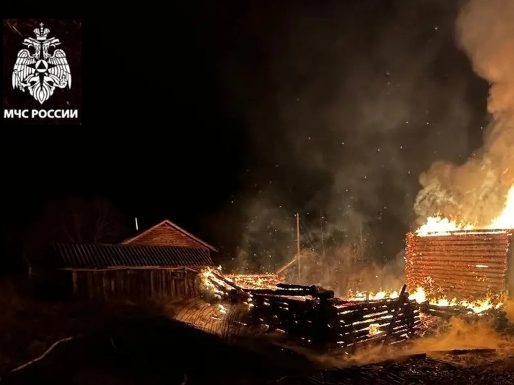 В Макарьевском районе в огне погиб 54-летний костромич