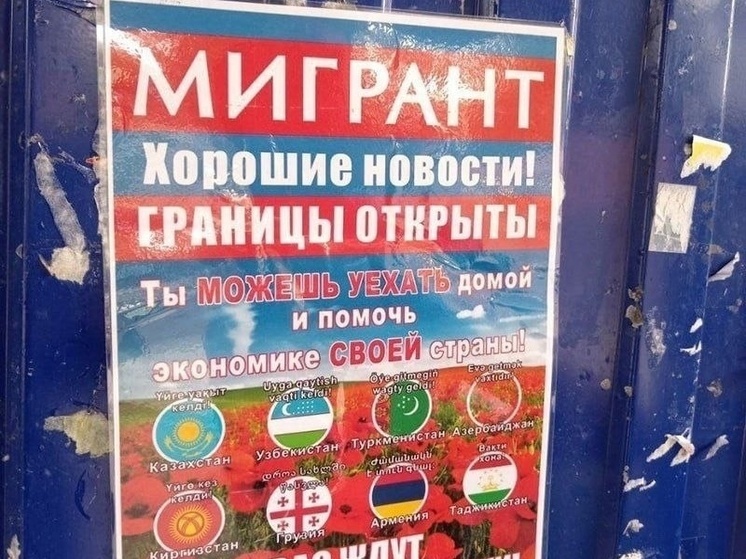 Новости в картинках в мире и обществе