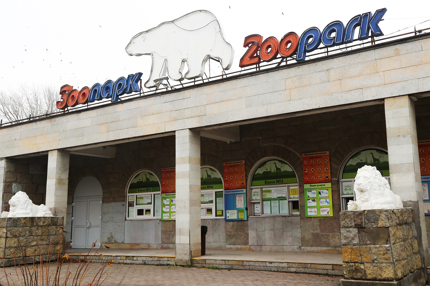 ленинградский зоопарк спб