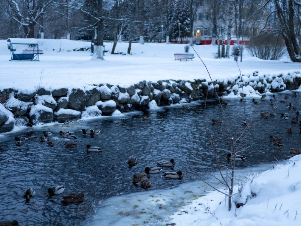 Синоптик озвучил неприятный прогноз для Подмосковья на третью декаду января