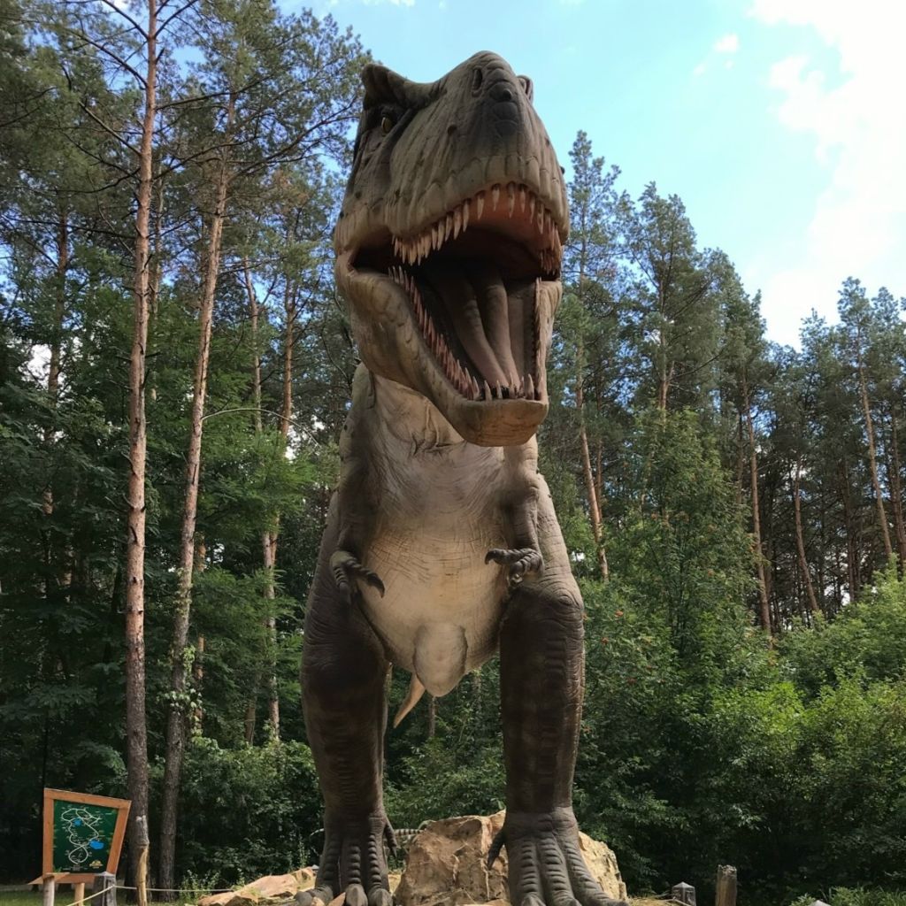 Динопарк.jpg