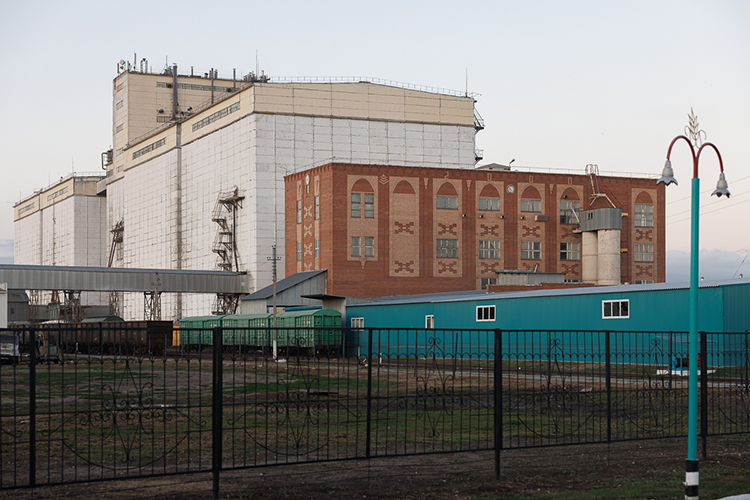 В 2024-м элеватор принял 128 тыс. т зерна, а в этом году уже 83 тыс. т зерна