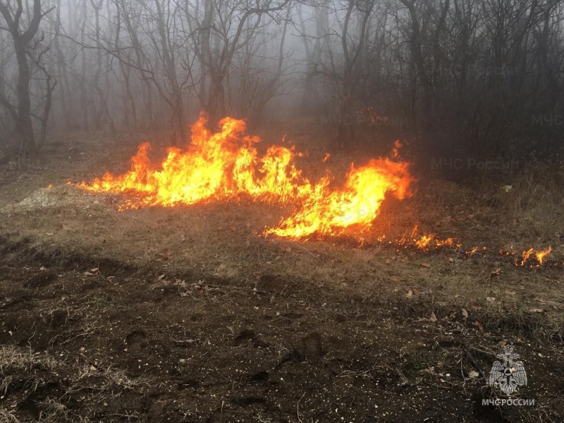 В Сергокалинском районе прошли пожарно-тактические занятия по ликвидации ландшафтных пожаров