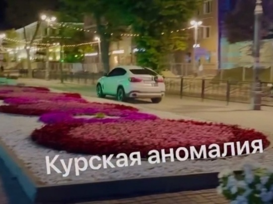 В Курске полиция разыскивает лихача на BMW, устроившего заезд по тротуару на Ленина