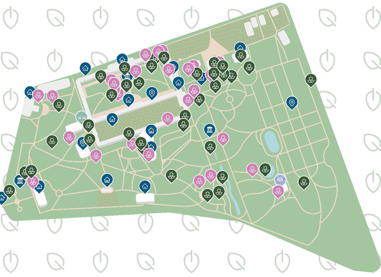 Ботанический сад Петра Великого схема. Ботанический сад Петра Великого в Санкт-Петербурге на карте. План ботанического сада в Санкт-Петербурге. Ботанический сад Петра Великого карта Сакуры.