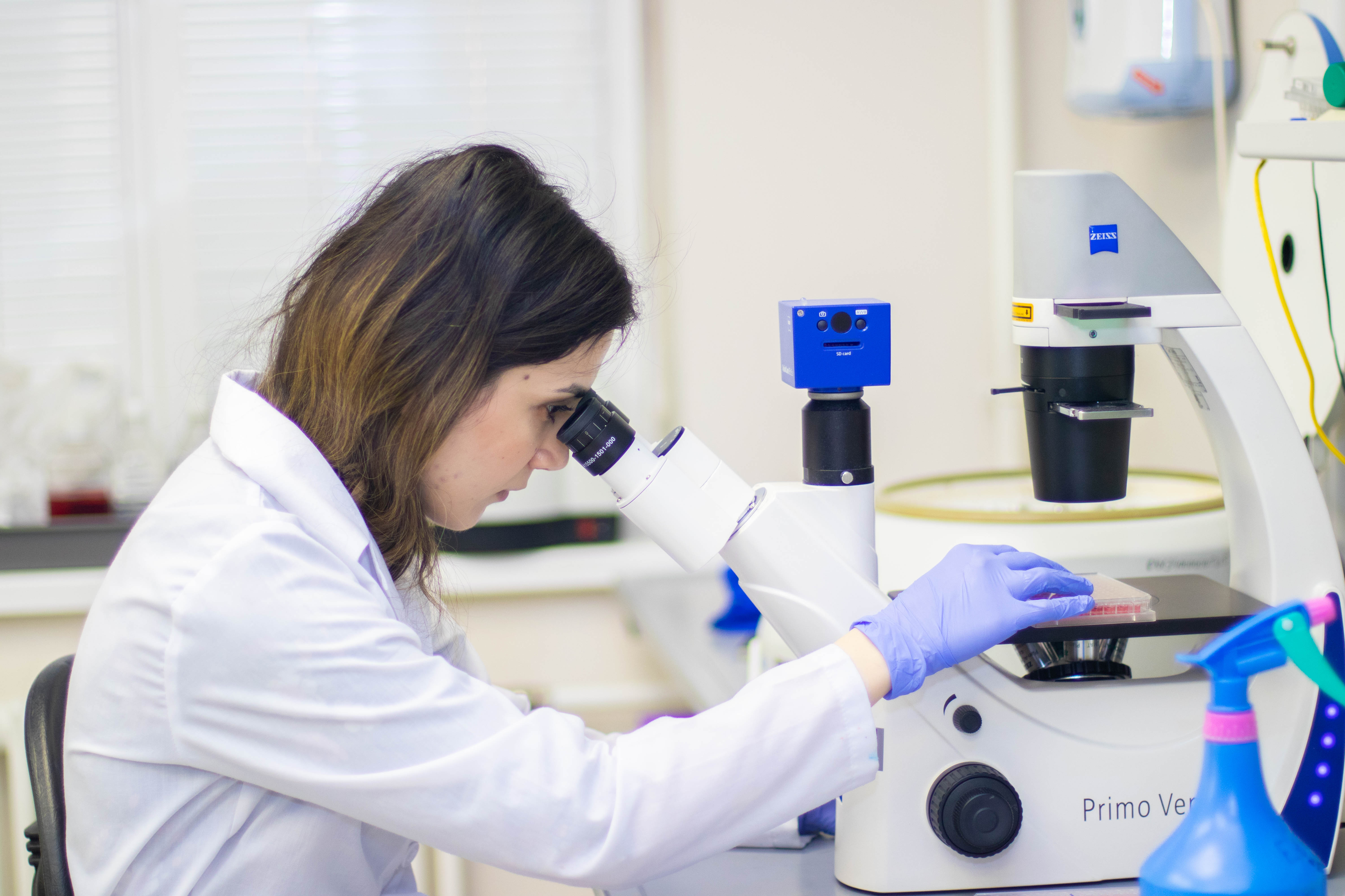 молодые ученые в лаборатории. лаборатория исследования. химическая лаборатория. ученые медики. молодые ученые.