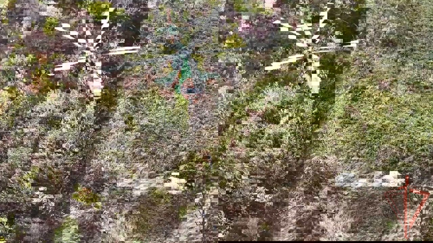 Директор Росгвардии Герой России генерал армии Виктор Золотов дал старт межведомственному командно-штабному учению (видео)