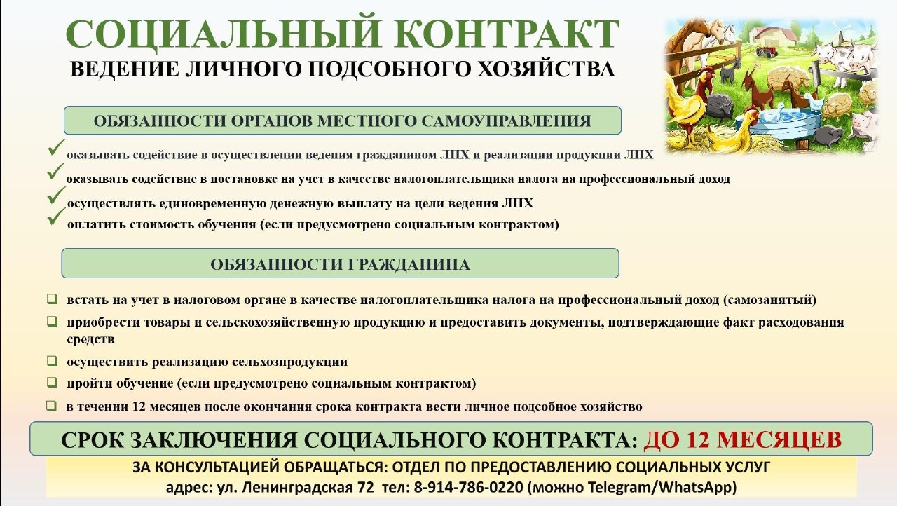 Горожане могут заключить социальный контракт на развитие подсобного хозяйства
