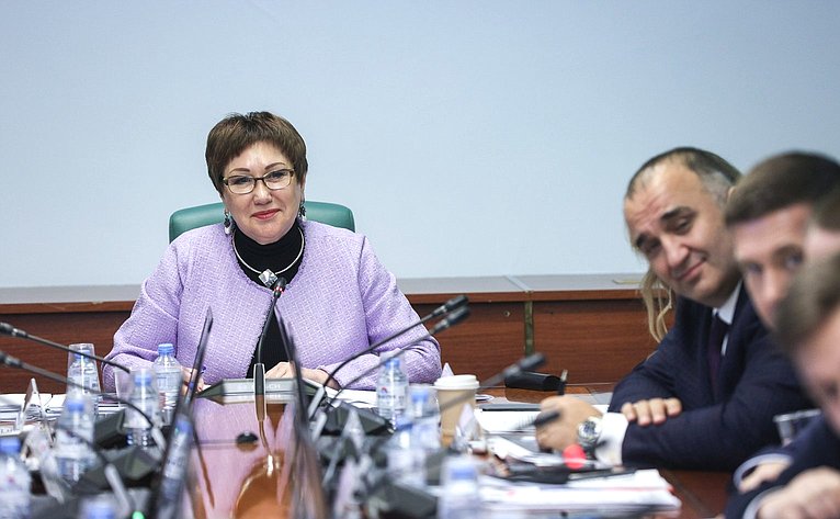 Заседание Комитета Совета Федерации по социальной политике