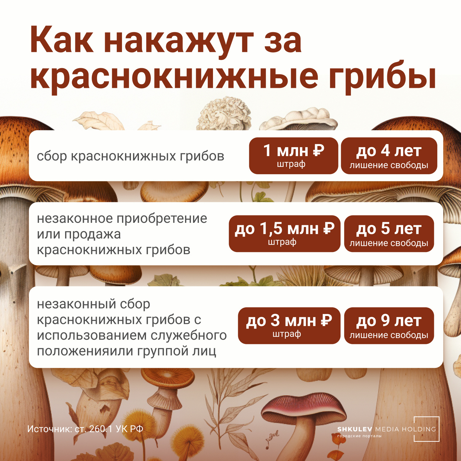 За сбор некоторых грибов теперь можно серьезно поплатиться