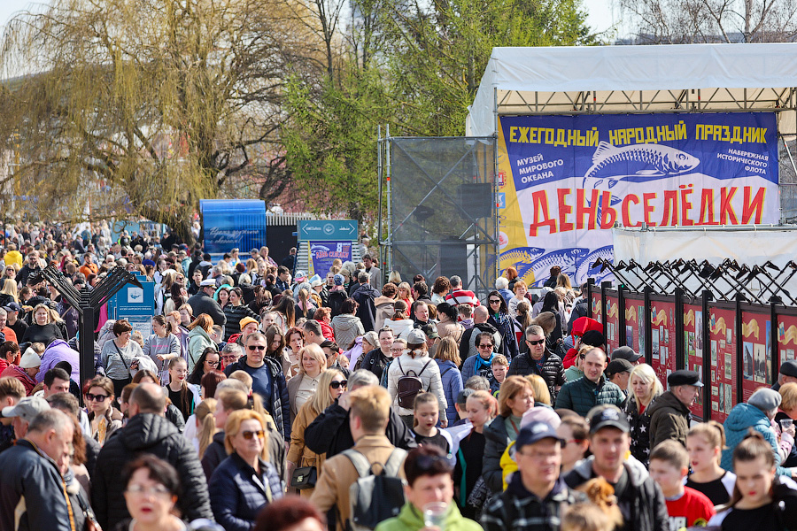 Фестиваль селедки 2024