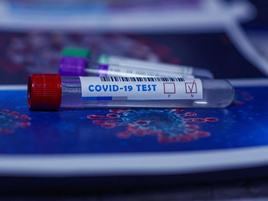 Американцам советуют тестироваться на COVID-19 для поездок по стране