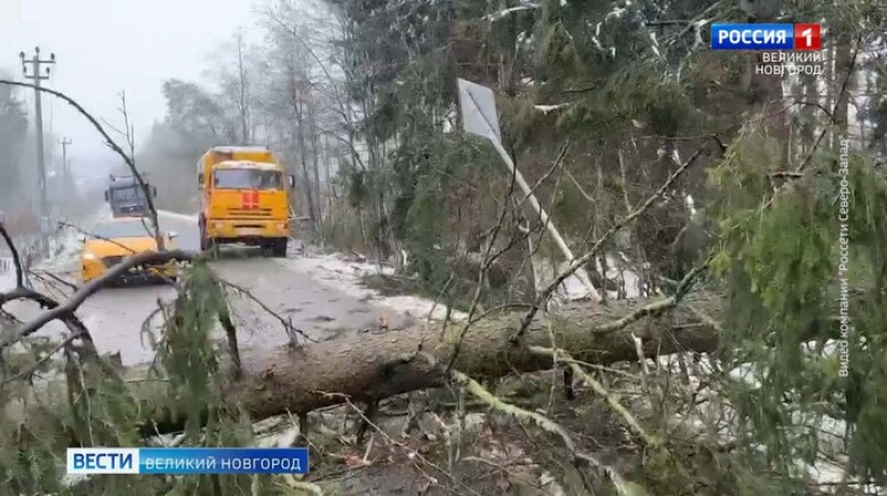 В Новгородской области энергетики продолжают устранять последствия непогоды, причиной которой стал циклон «Элви»