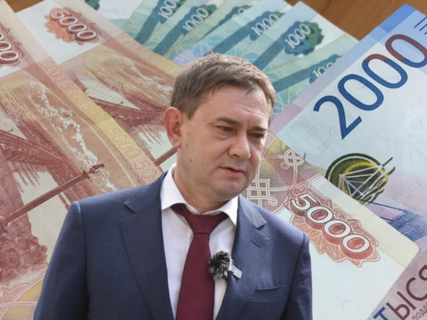 Владимир Нетёсов оказался самым богатым председателем в истории Воронежской облдумы