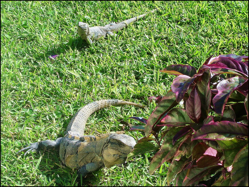 Древность и современность в Канкуне